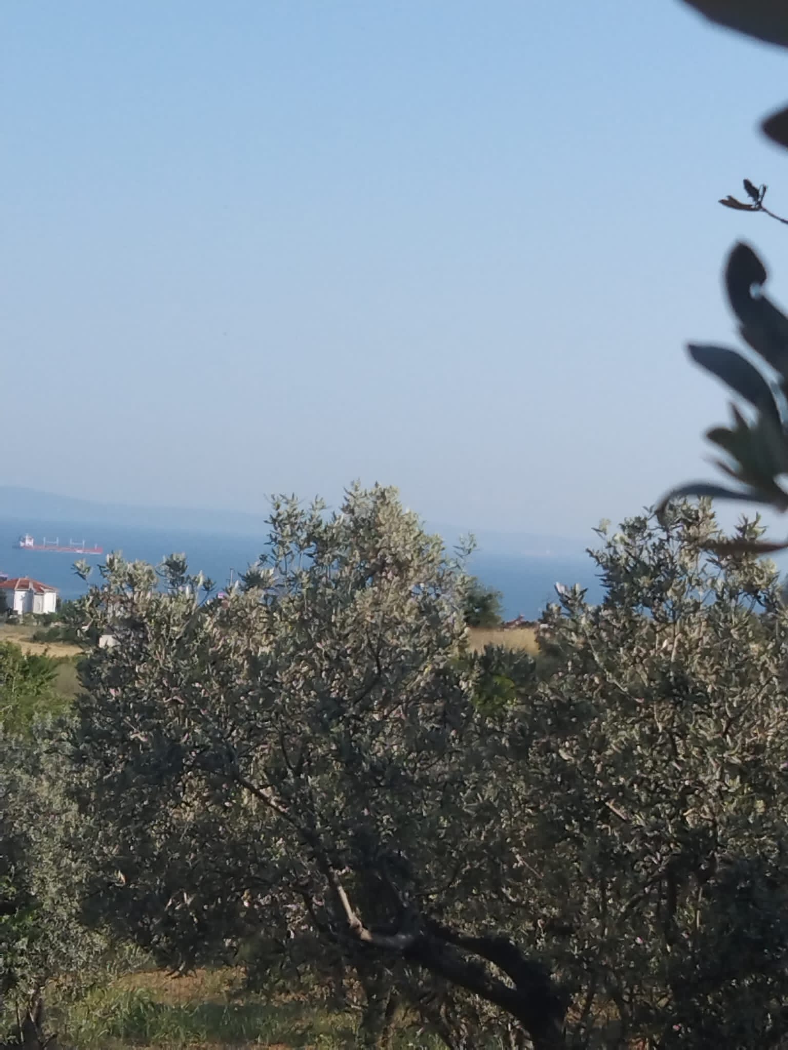 derya şarköy yukarıkalamış mah