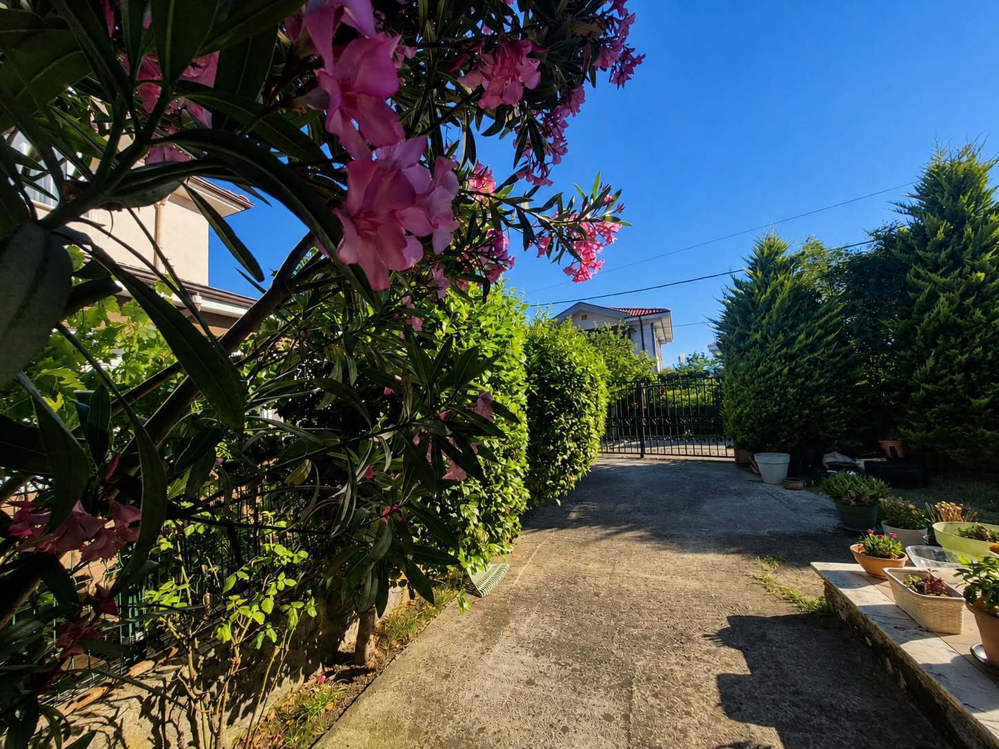 7d6385efe63f4870b7c4d64ae6ae04bc ÅžILE’DE AYRICALIKLI YAÅžAMIN YENI ADRESI | SATILIK LÜKS VILLA- SAMED ÇIRALI